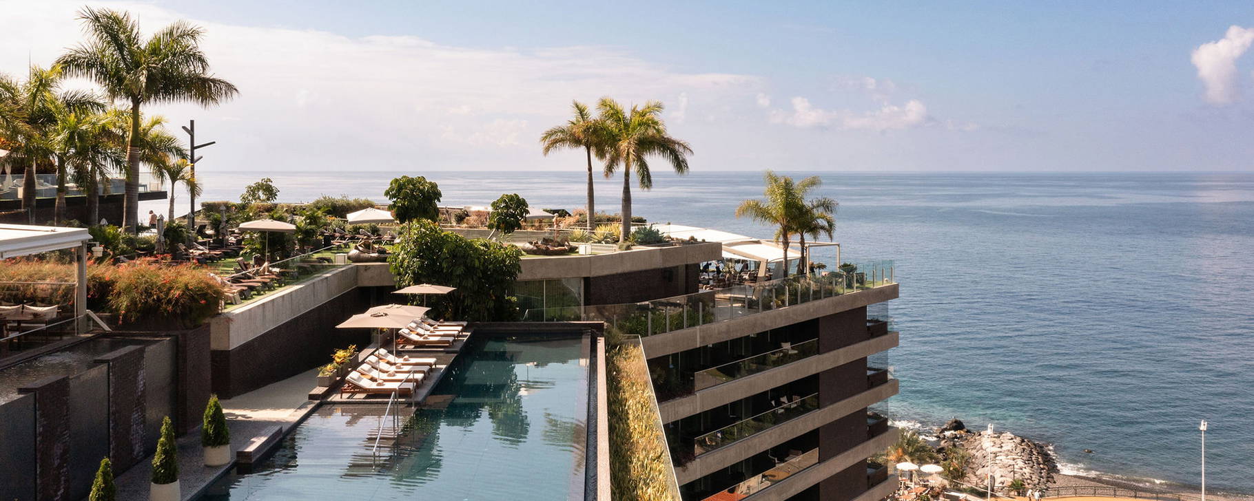 Infinitypool - Saccharum