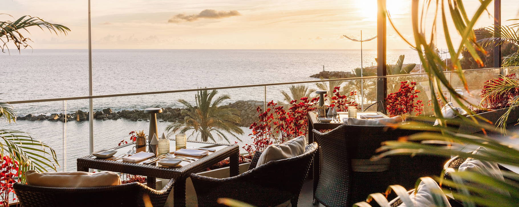 Alambique Restaurant Terrasse - Saccharum
