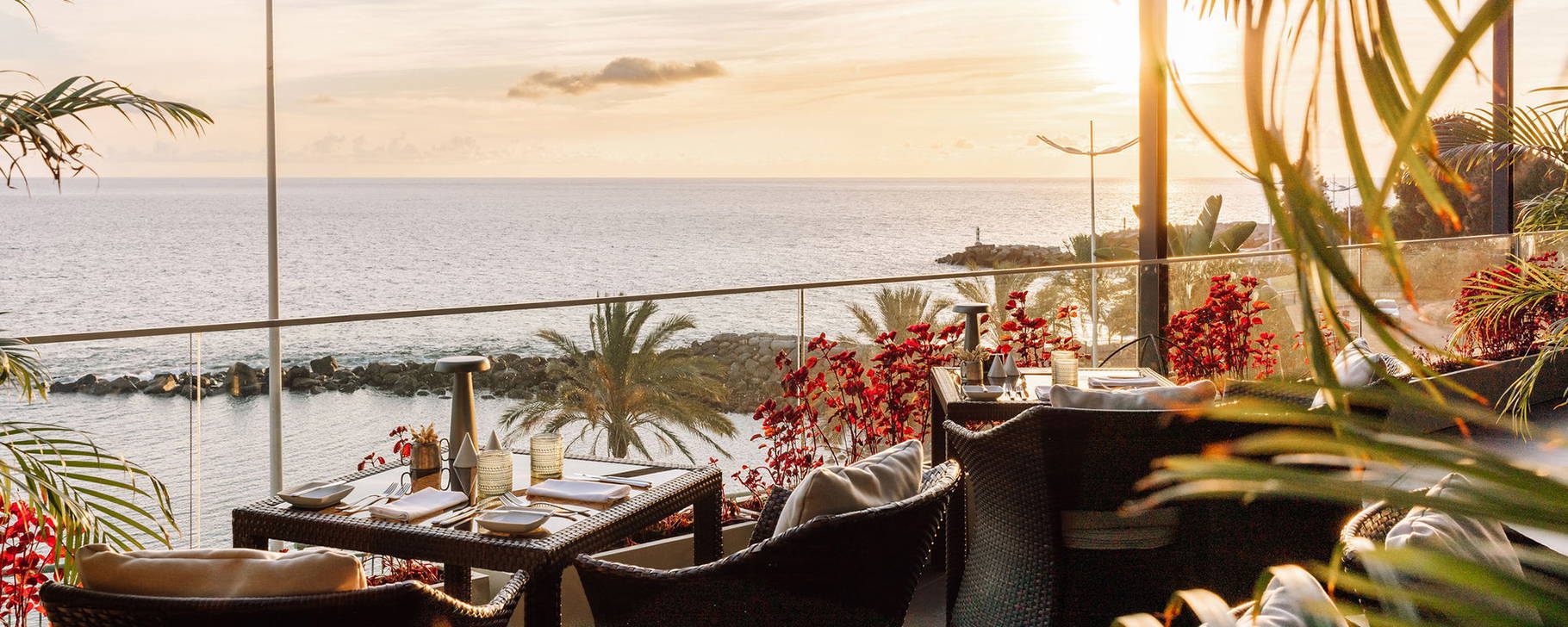 Alambique Restaurant - Saccharum