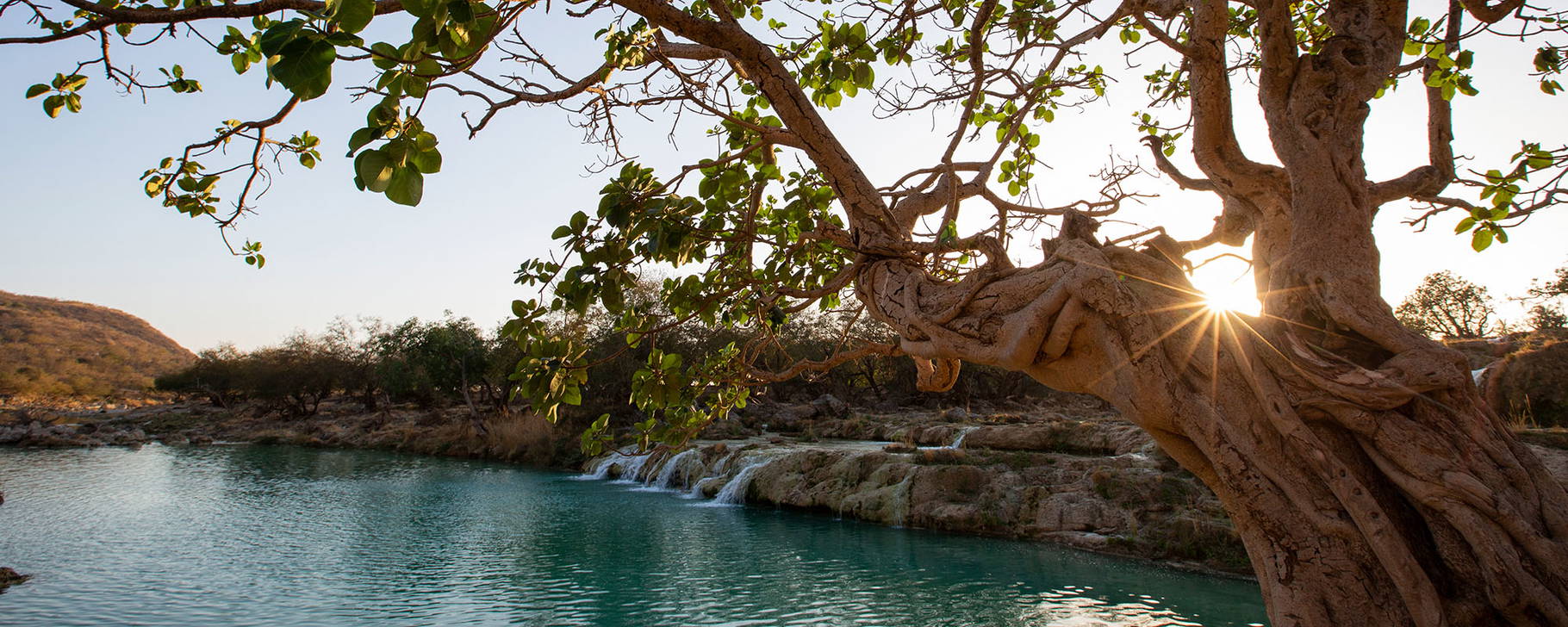 Ausflug zum Wadi Darbat - Alila Hinu Bay