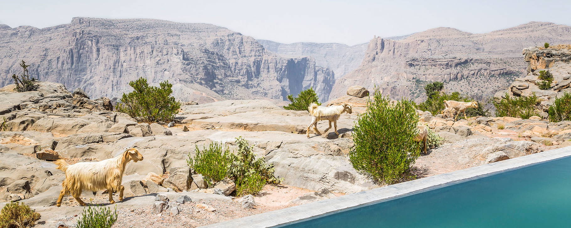 Cliff Pool Villa - Anantara Al Jabal Al Akhdar Resort
