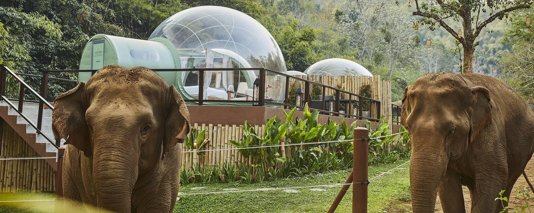 Jungle Bubbles - Anantara Golden Triangle Elephant Camp & Resort