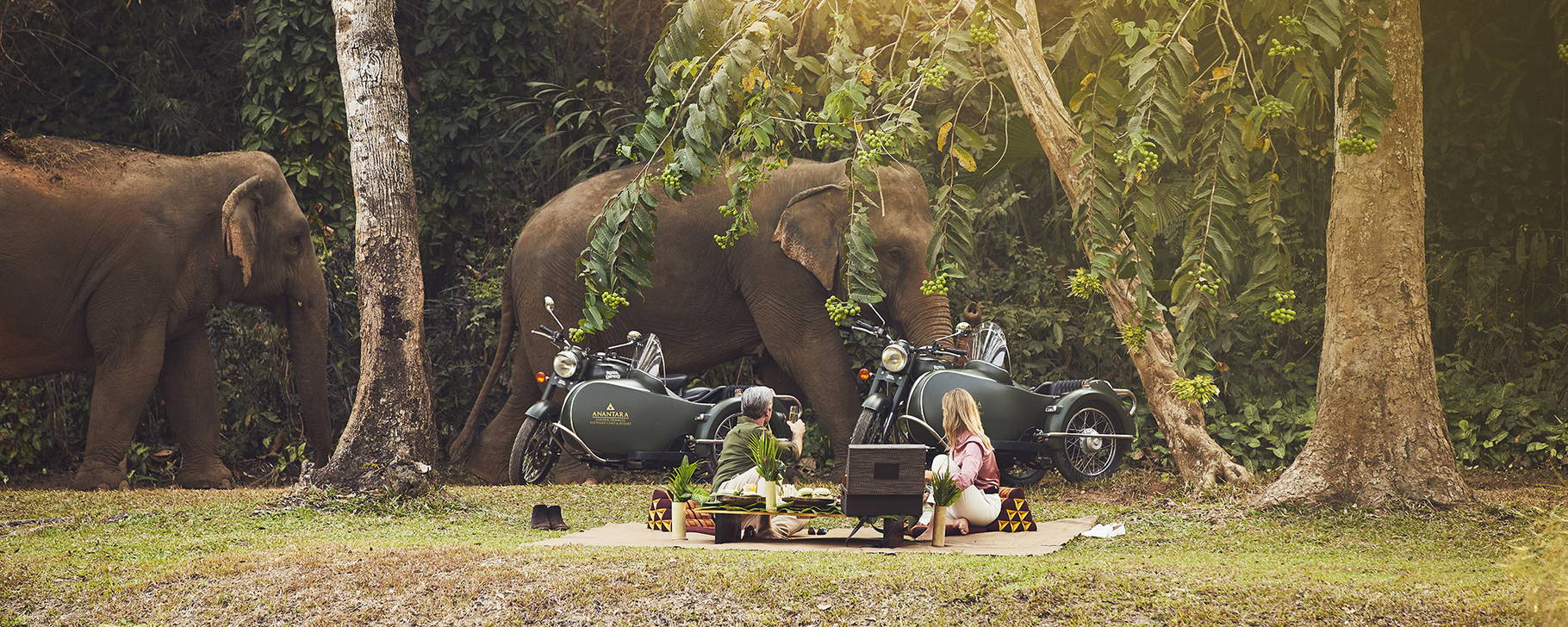 Elefanten Picnic - Anantara Golden Triangle Elephant Camp & Resort