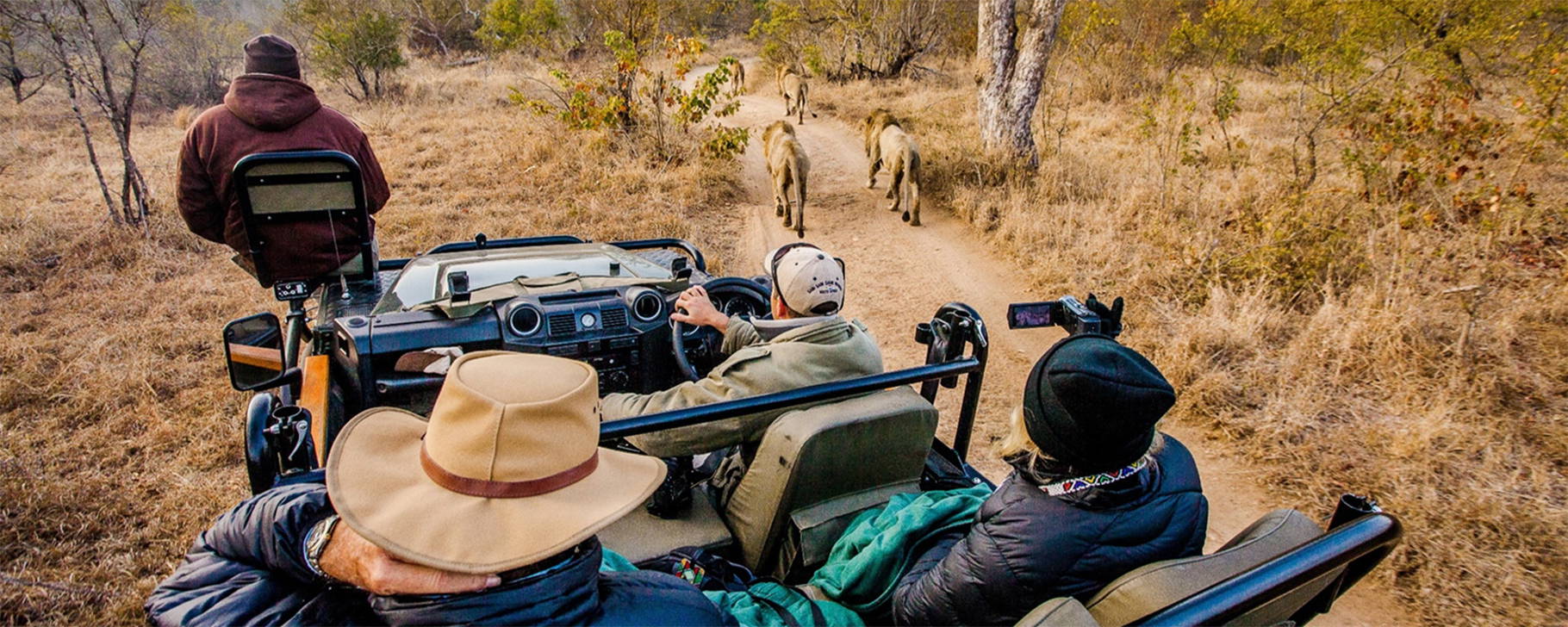 Safari - Sabi Sabi Private Game Reserve