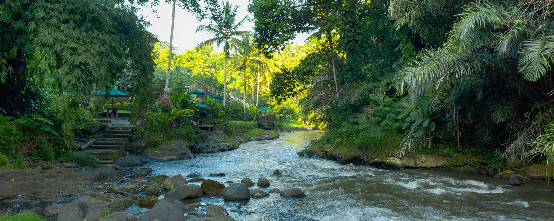 Natur - The Samaya Ubud