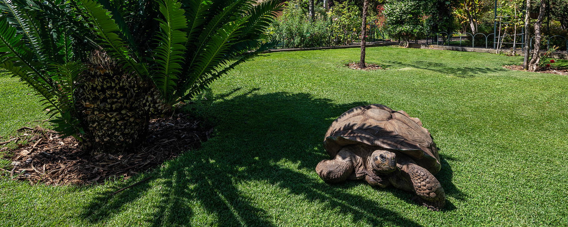 Garten - Quinta Jardins do Lago