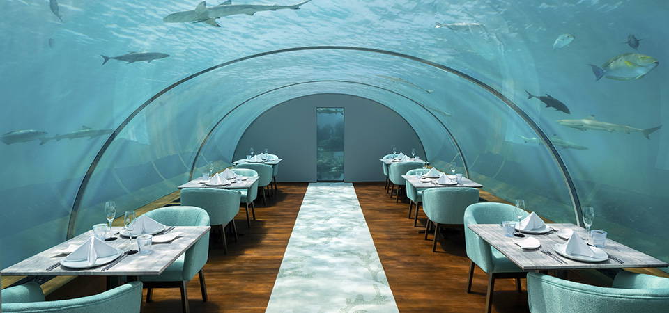 Ithaa Restaurant - Conrad Maldives Rangali Island