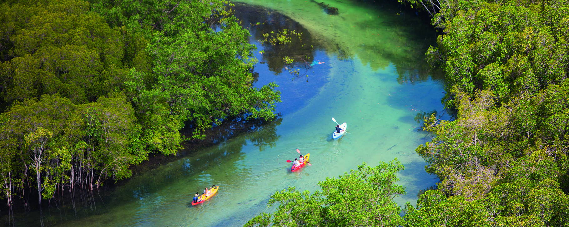 Hotel-Aktivität - Constance Ephelia Seychelles