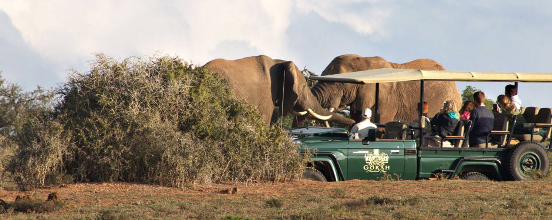Safari - Gorah Elephant Camp