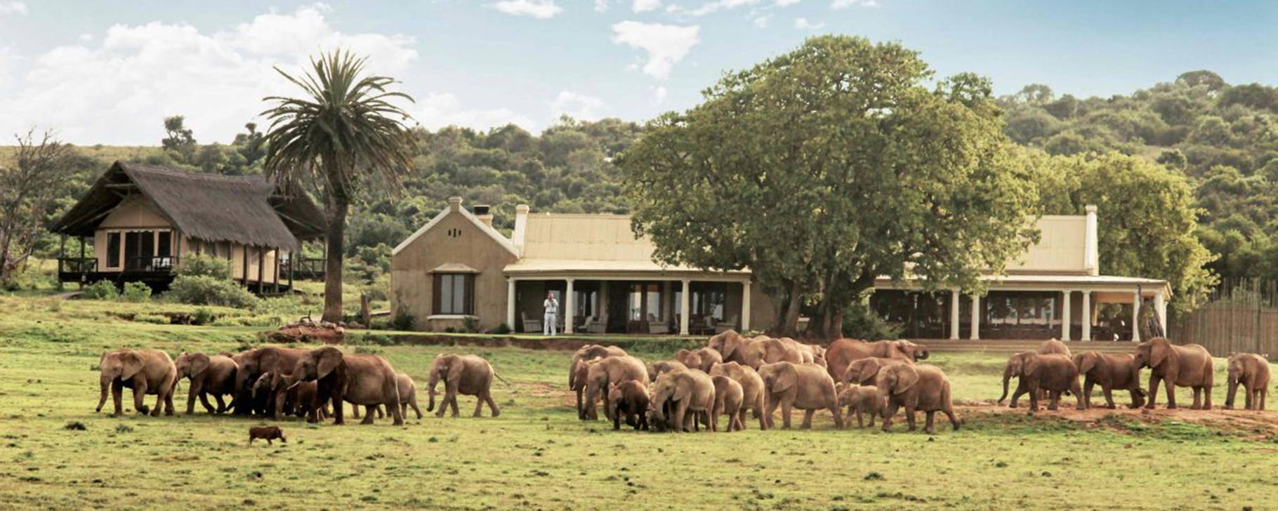 Elefanten - Gorah Elephant Camp
