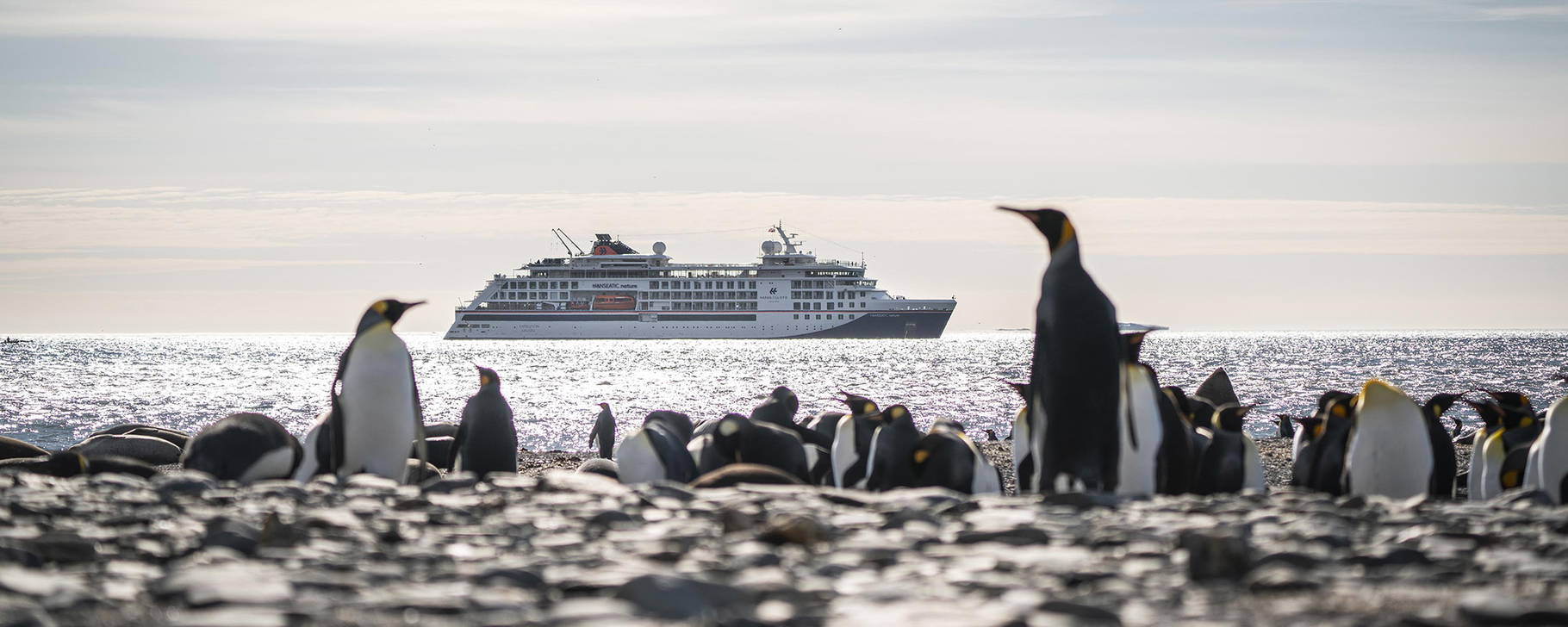 Expedition - HANSEATIC nature