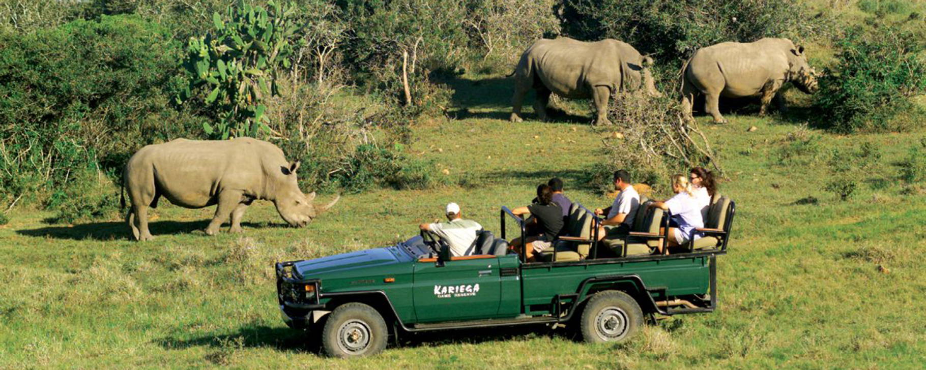 Safari - Kariega Game Reserve
