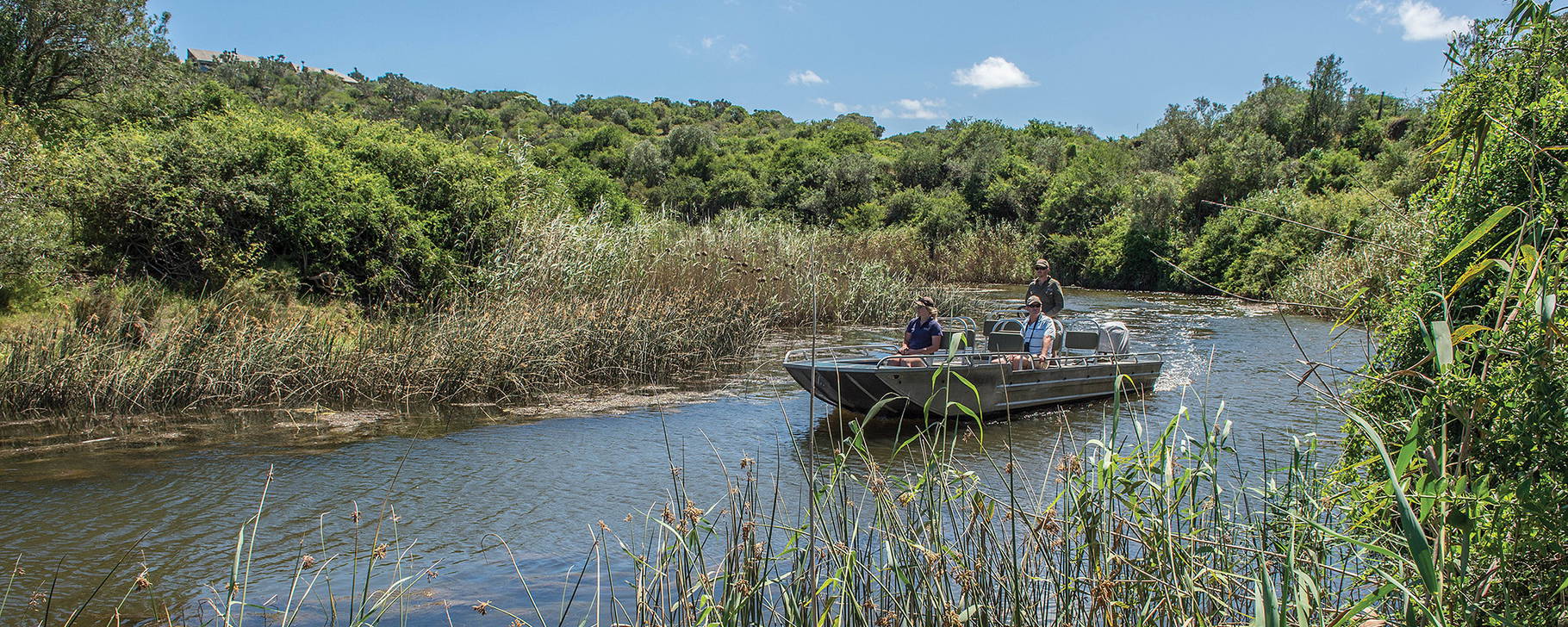 Wasser-Safari - Kariega Game Reserve