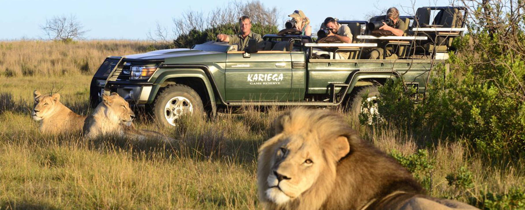 Safari - Kariega Game Reserve