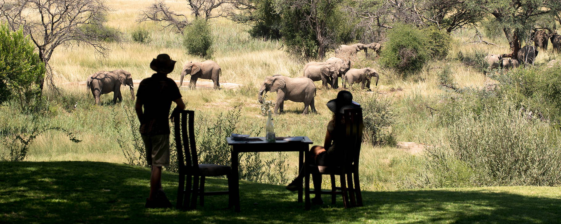 Dining - Marataba Safari Lodge