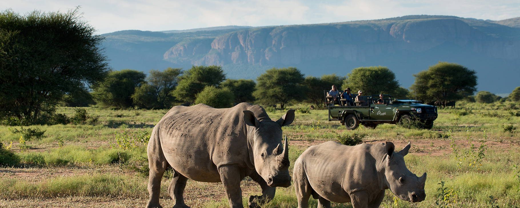Safari - Marataba Mountain Lodge