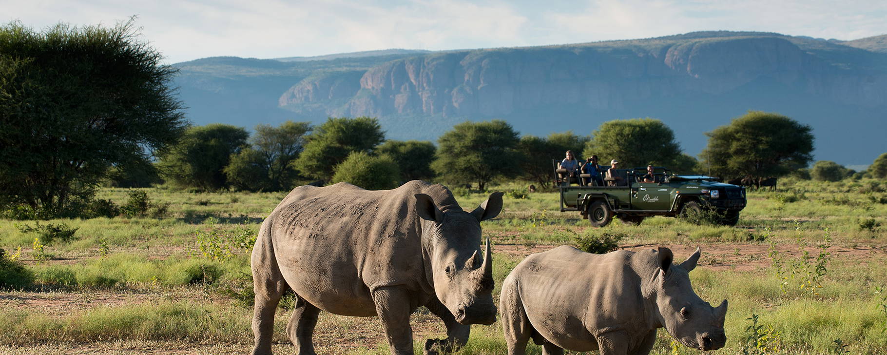 Safari - Marataba Safari Lodge