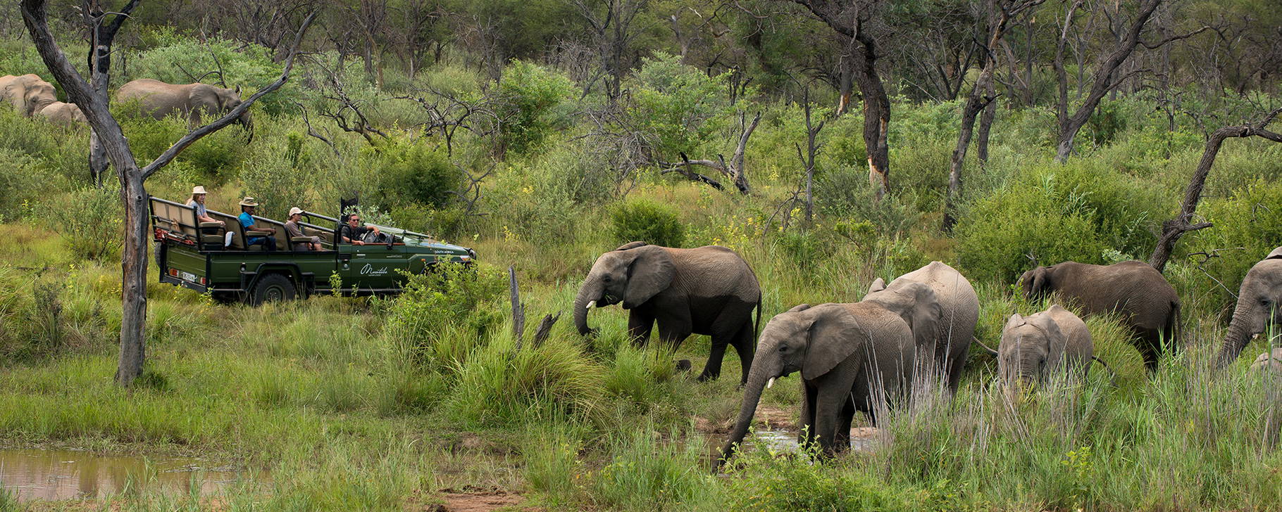 Safari - Marataba Mountain Lodge