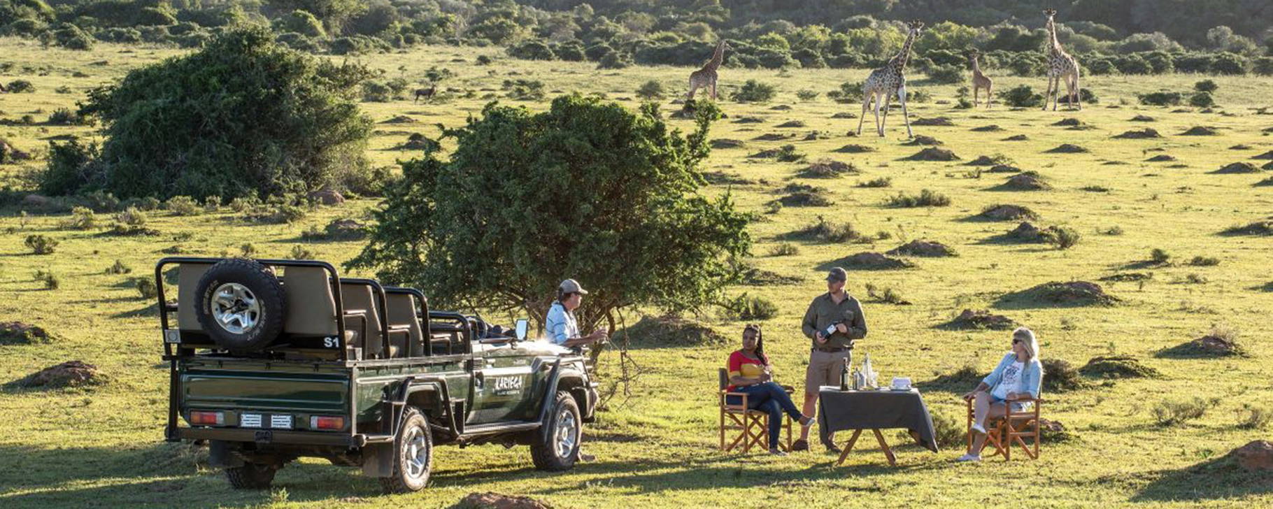Safari - Kariega Game Reserve Settlers Drift