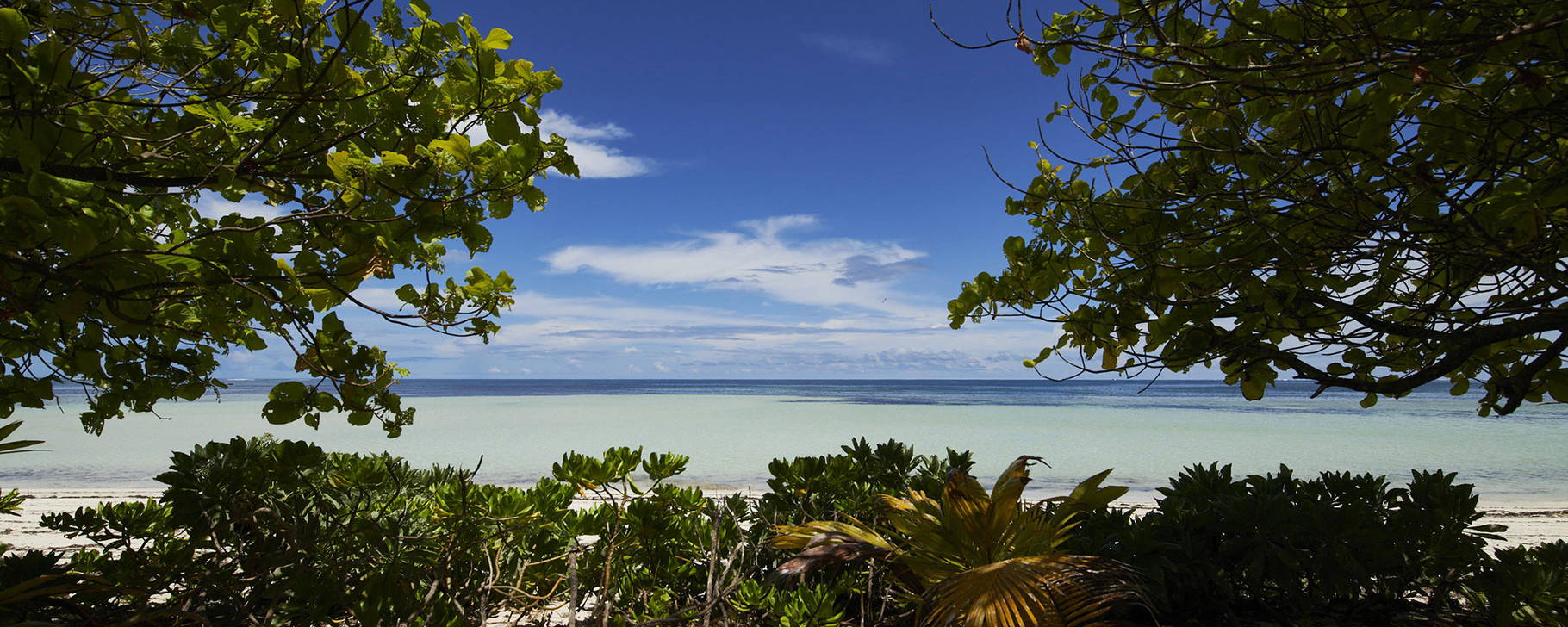 Strand - Canopy by Hilton Seychelles Resort