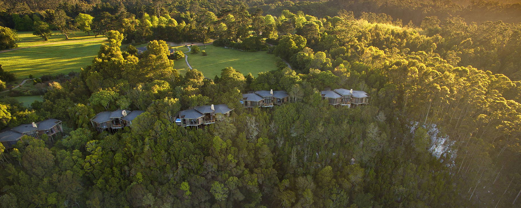 Lage - Tsala Treetop Lodge