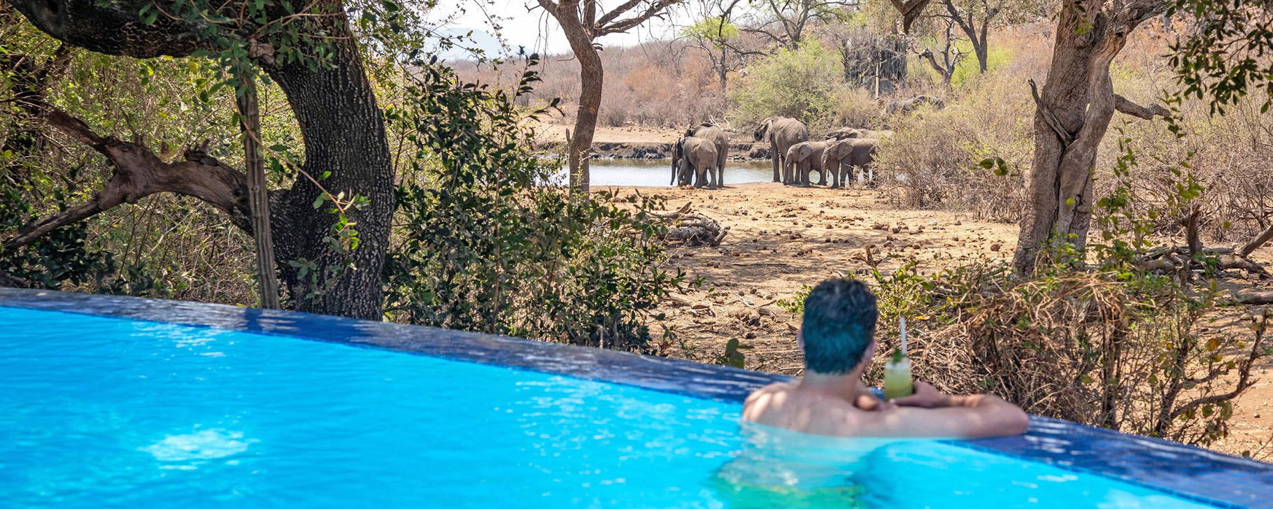 Pool-Aussicht - Tuningi Safari Lodge