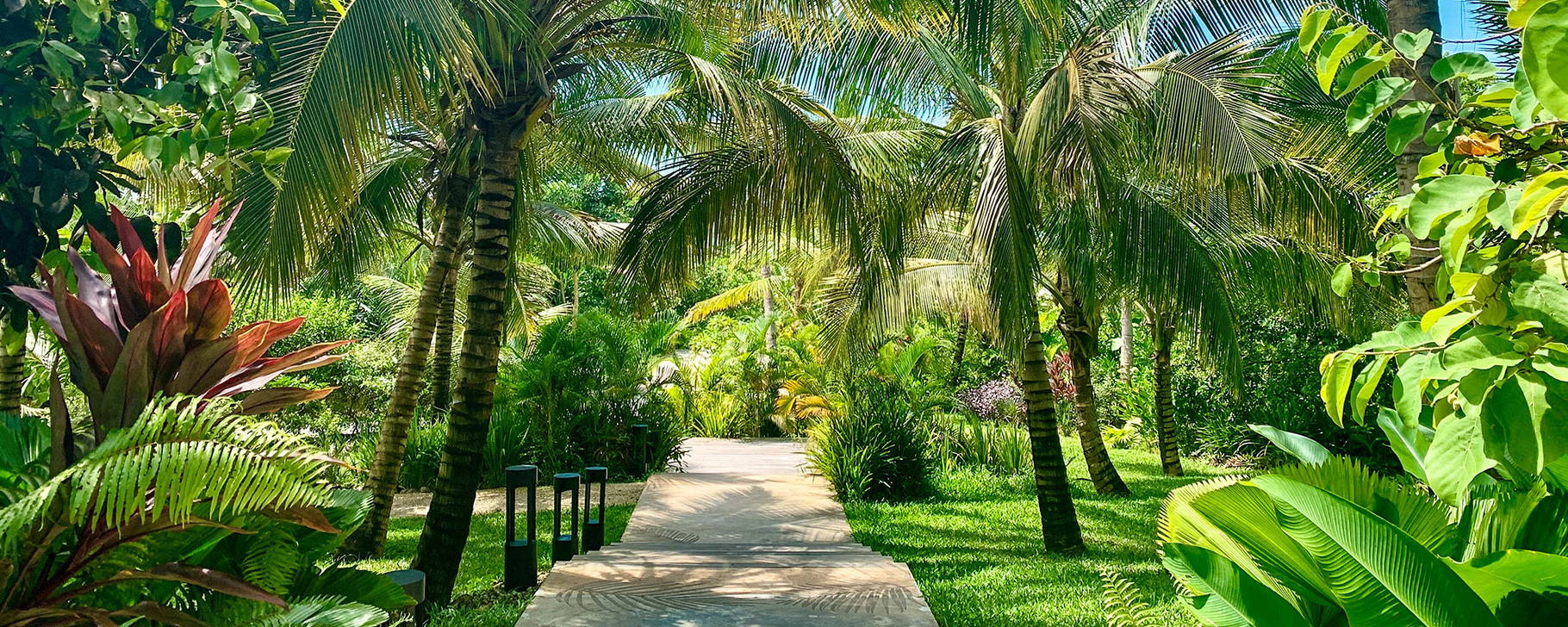 Garten - Zuri Zanzibar Hotel & Resort