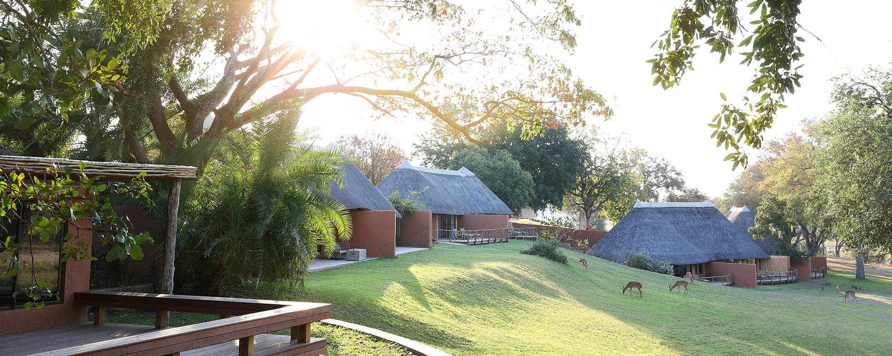 Hotelanlage - Mala Mala Private Game Reserve