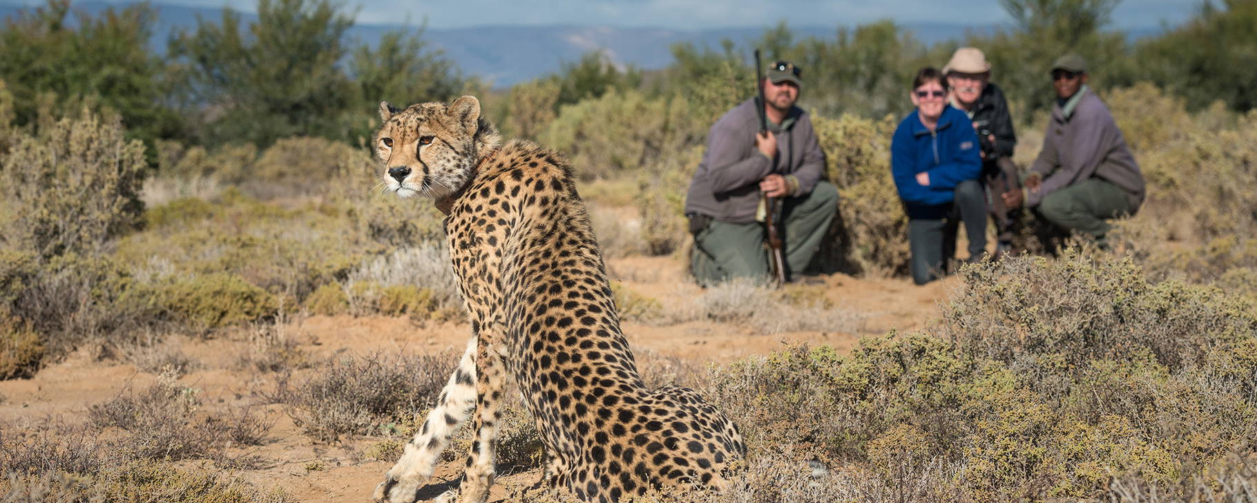 Safari - Sanbona Wildlife Reserve