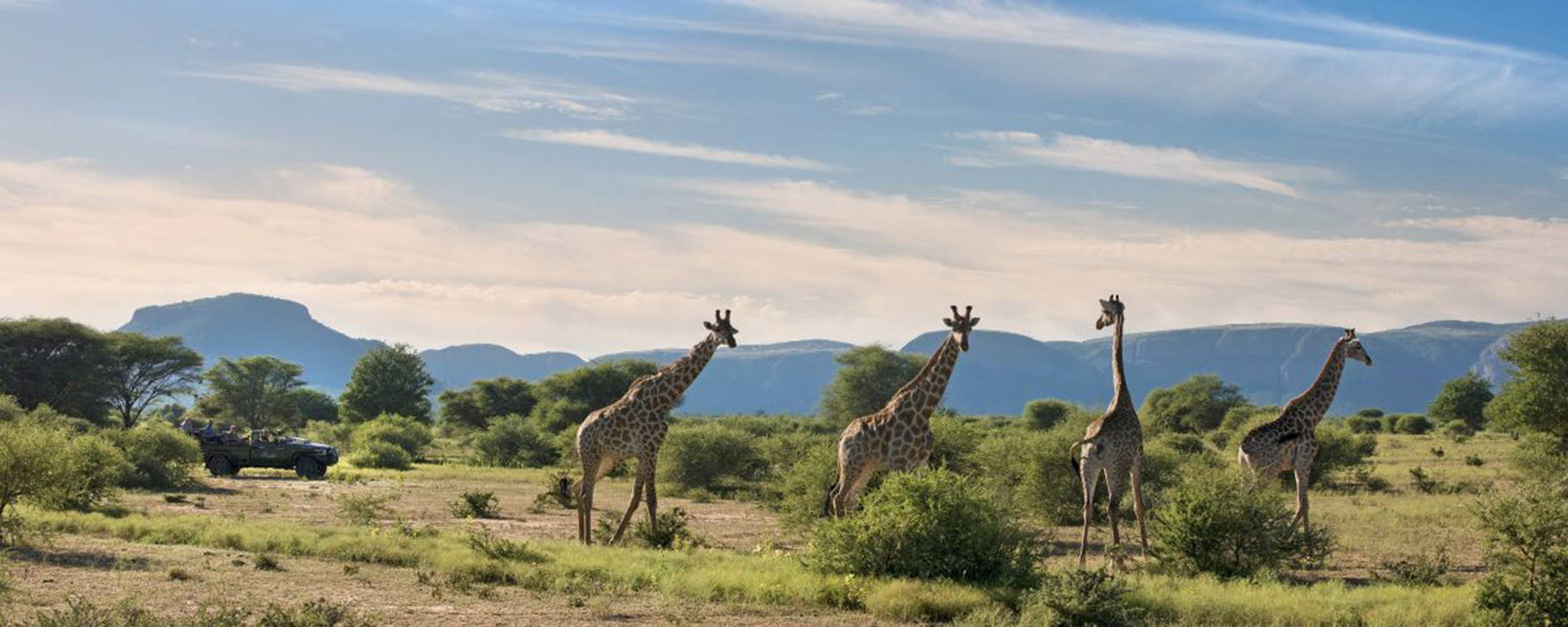 Safari - Marataba Mountain Lodge