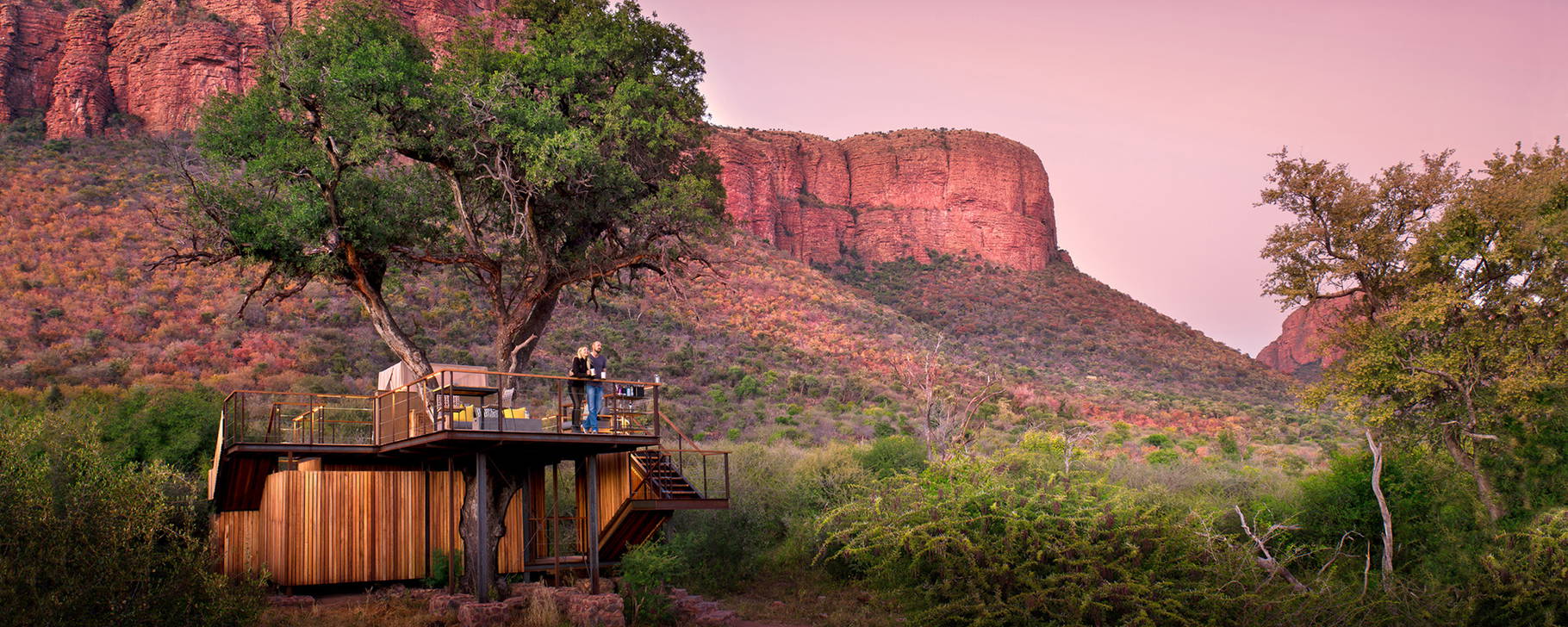 Tree House - Marataba Mountain Lodge