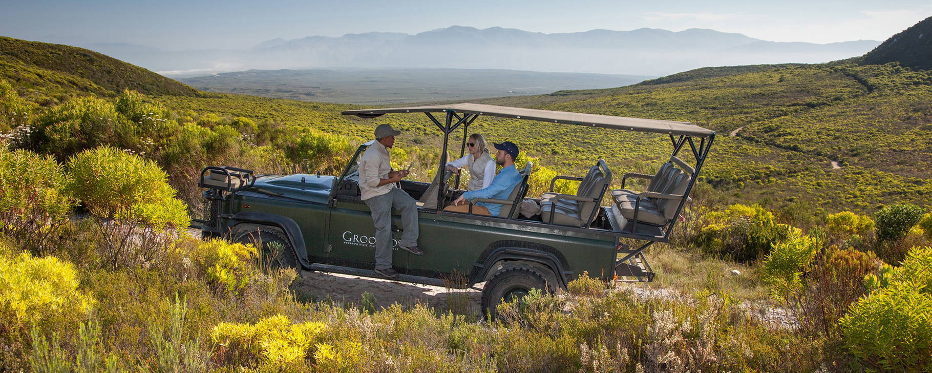 Safari - Grootbos Private Nature Reserve