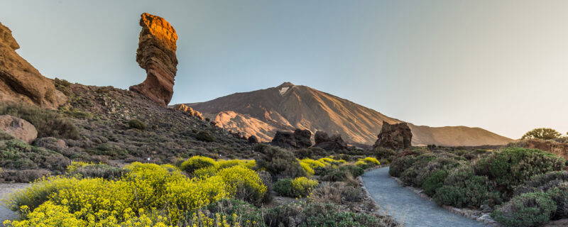 Teneriffa Urlaub