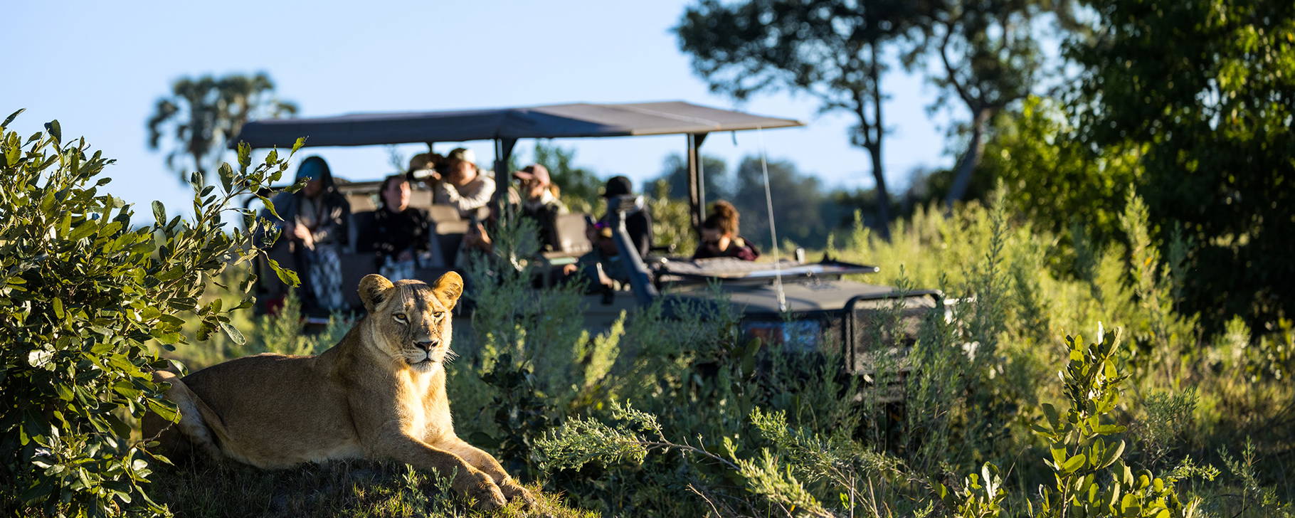 Safari - Monachira Camp