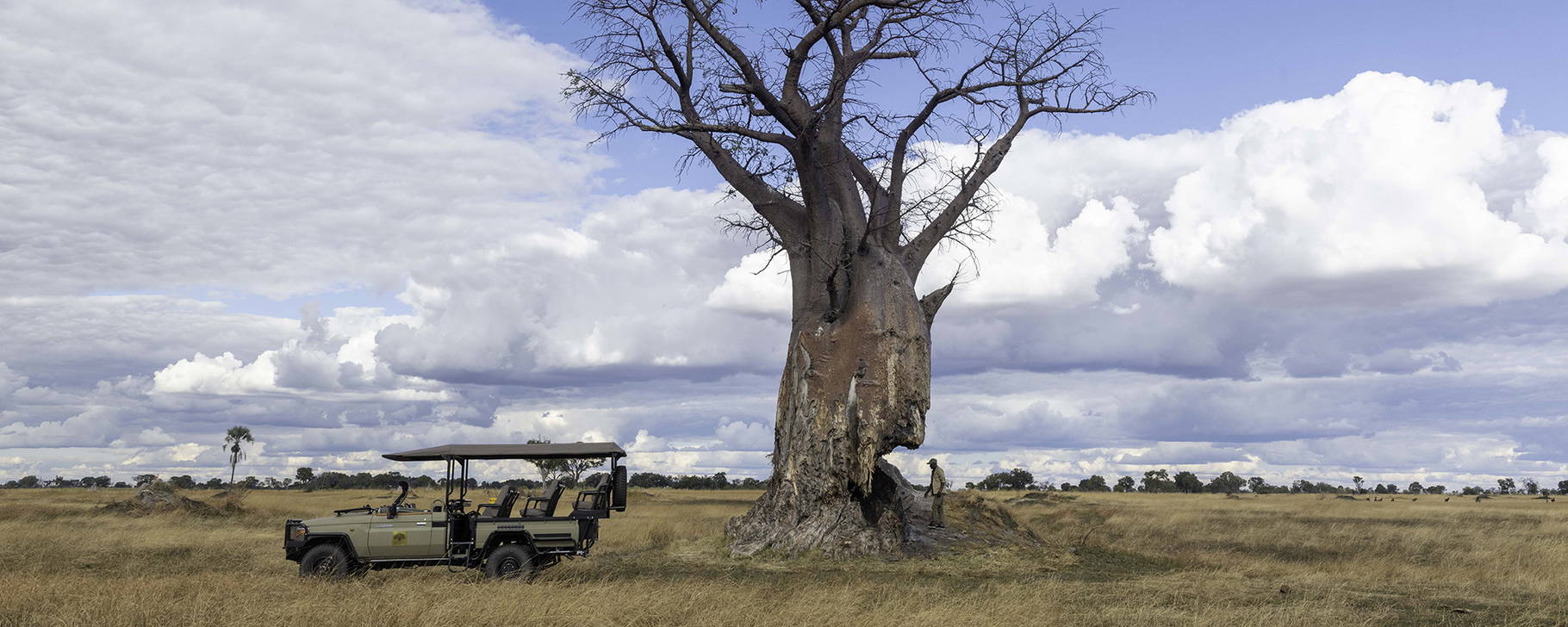 Safari - Kiri Camp