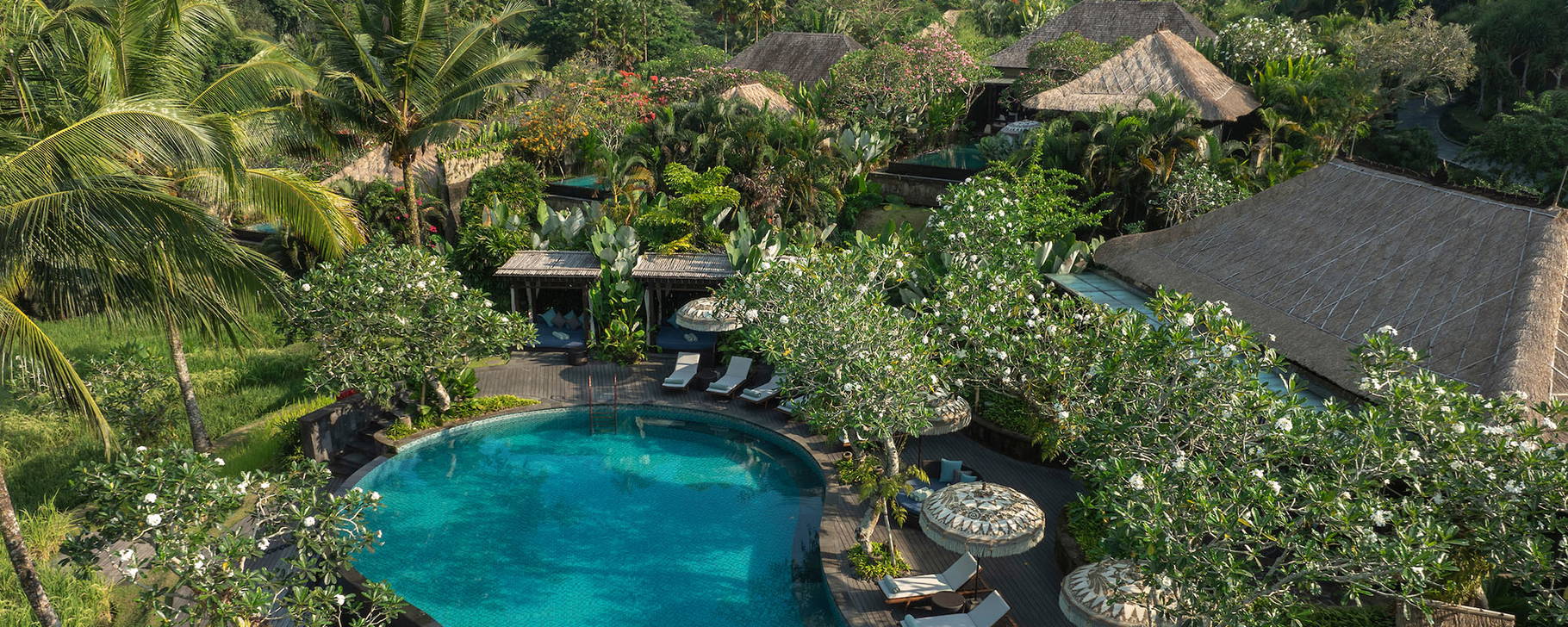Pool - Mandapa, a Ritz-Carlton Reserve