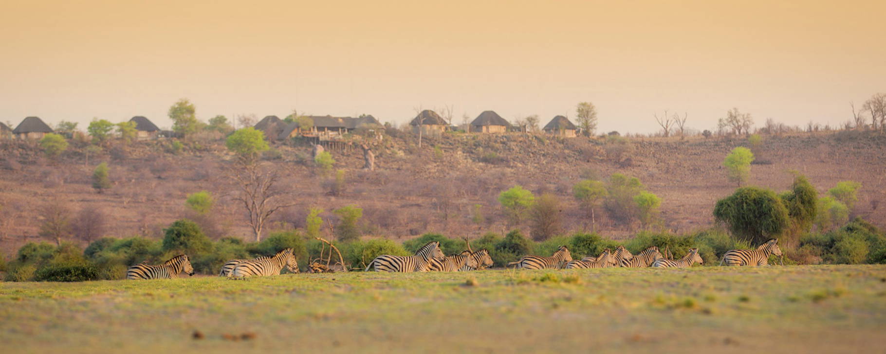 Lage - Ngoma Safari Lodge