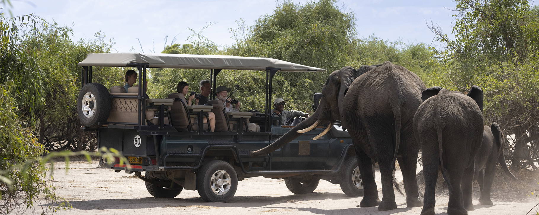 Safari - Ngoma Safari Lodge