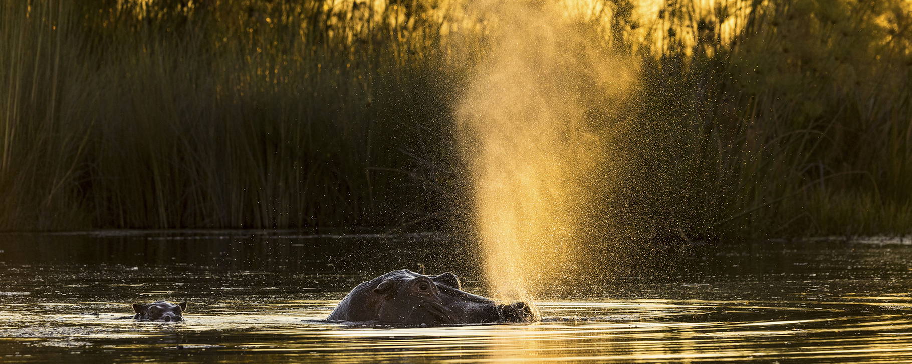 Wasser-Safari - Monachira Camp