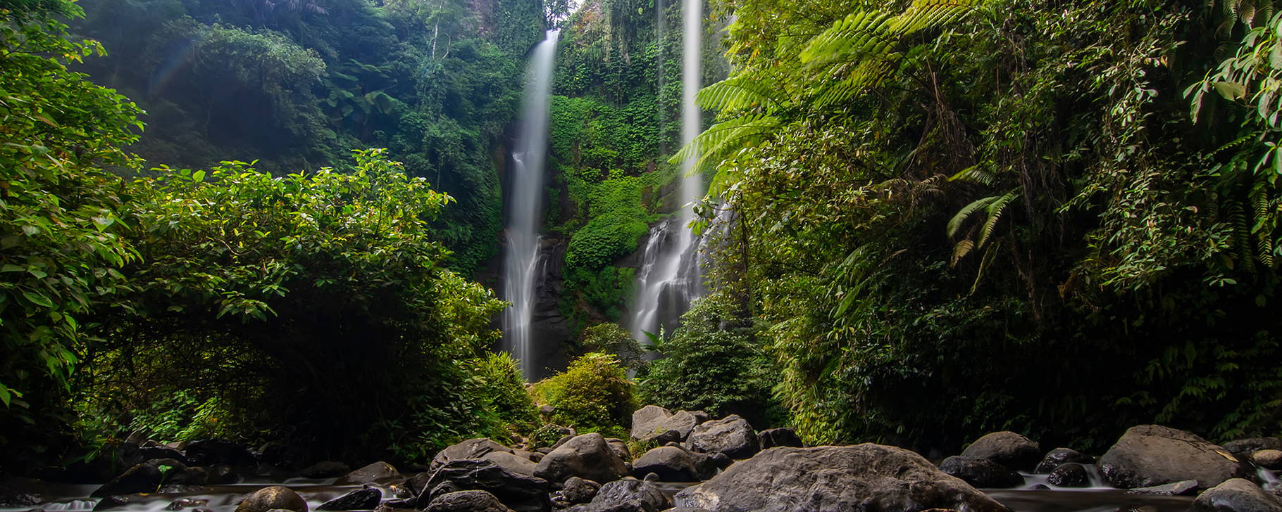 AdobeStock_491542495