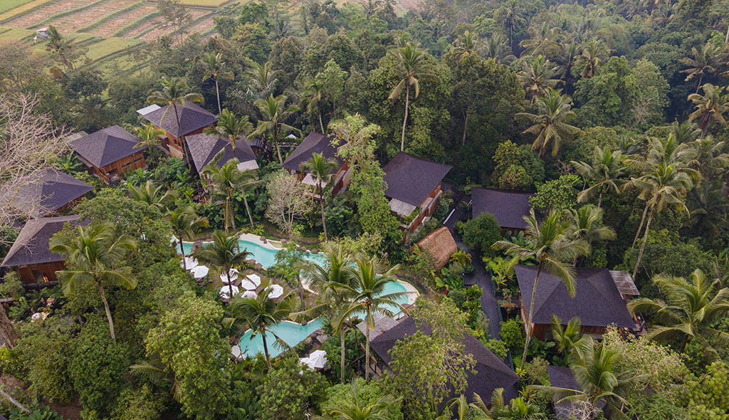 Vorschau - Kappa Senses Ubud