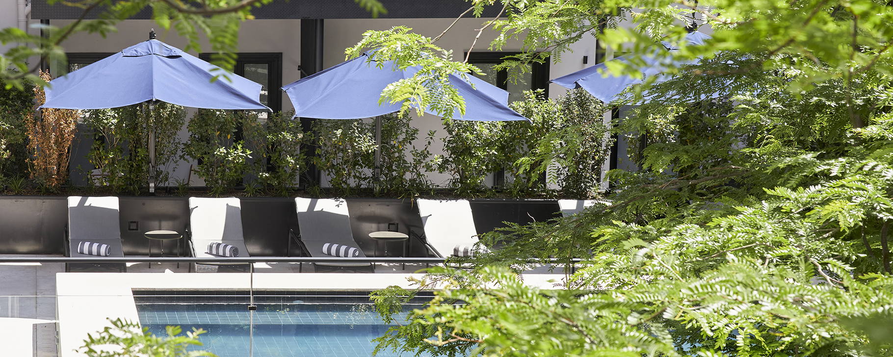 Pool - Valverde Lisboa Hotel & Garden