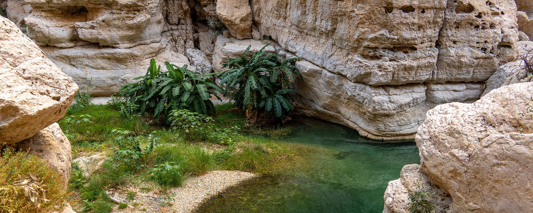 Wadi Shab
