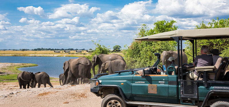 Im Chobe Nationalpark auf Safari während einer Botswana-Rundreise