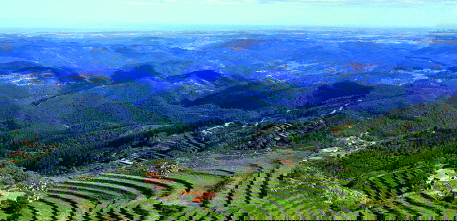 Portugal, Algarve, Reisetipps - Serra de Monchique