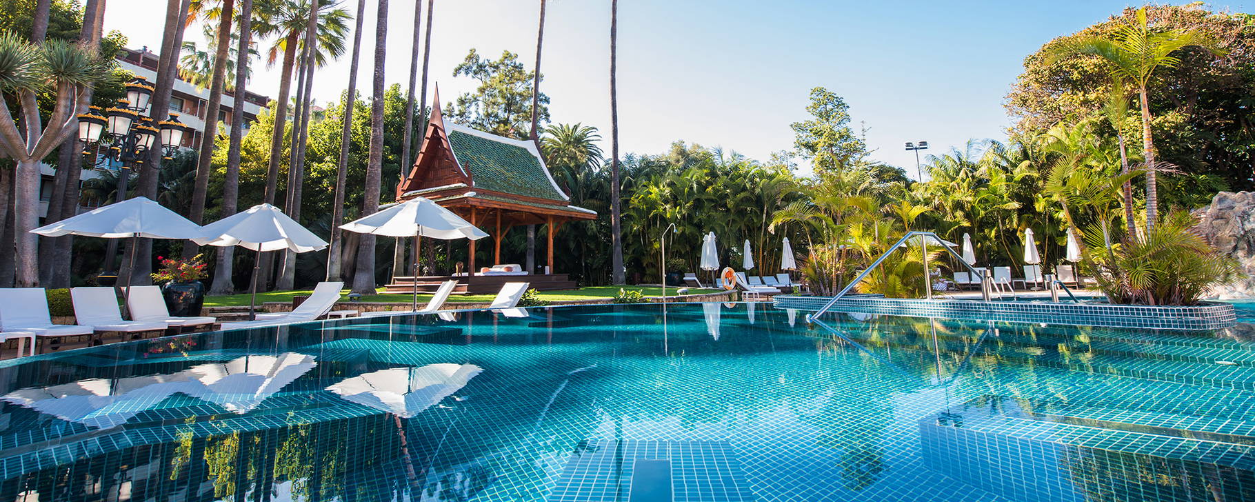 Pool - Hotel Botanico