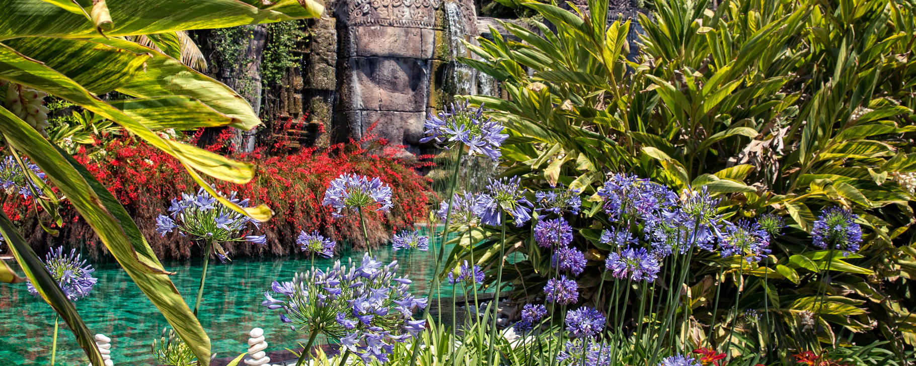 Angkor Faces Pool - Asia Gardens Hotel & Thai Spa