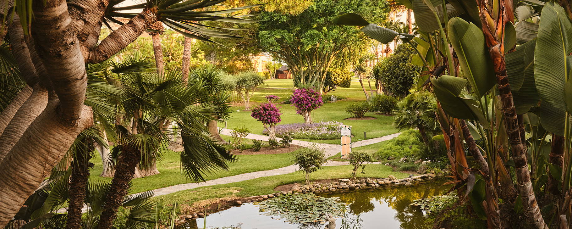 Garten - Don Carlos Marbella