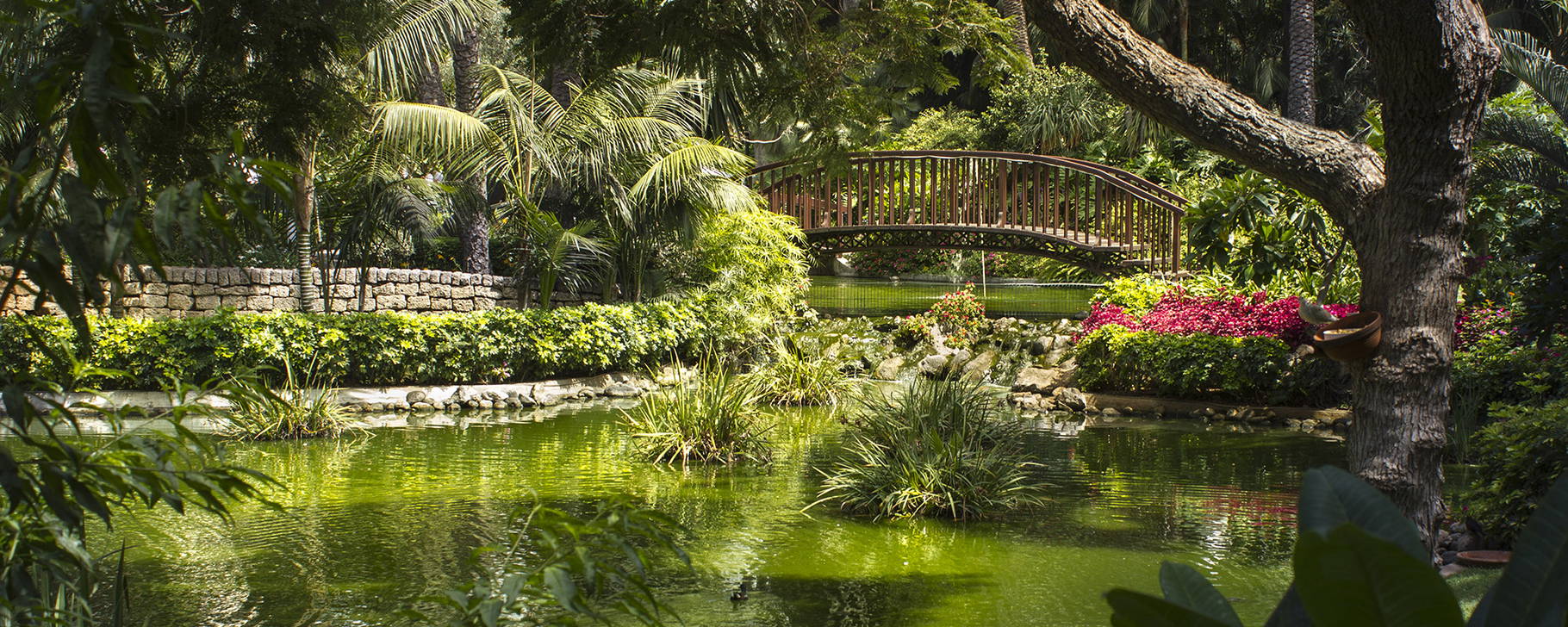 Garten - Hotel Botanico