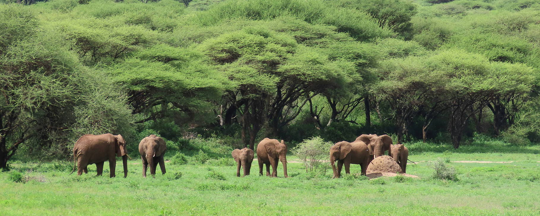 Ngorongoro-Krater - Tansania & Sansibar Original